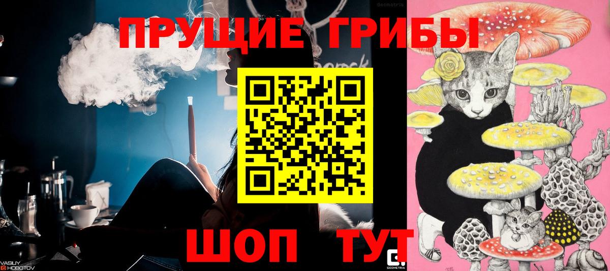 купить наркоту  Дмитров  Псилоцибиновые грибы мухоморы  Галлюциногенные грибы прущие грибы 