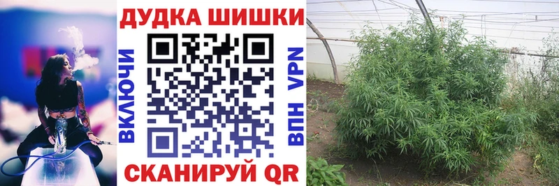 Конопля Ganja  Дмитров 